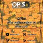 Illustration du profil de 군산오피 출장마사지안내.COM 군산OP