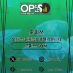 Illustration du profil de 동탄오피 오피쓰.COM 동탄OP