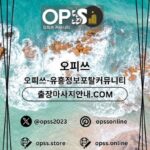 Illustration du profil de 역삼건마 오피사이트.NET 역삼마사지