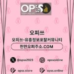 Illustration du profil de 홍대오피 오피사이트.NET 홍대OP