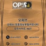 Illustration du profil de 동탄건마 오피사이트.NET 동탄마사지